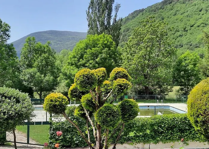 El Estudio De Buenavista